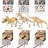 Dinosaur Excavation Kits For Kids,Dino Dig Kits T-Rex,Triceratops and Diplodocus,Dinosaur Fossil Excavation Kits ,Children's Popular Science Education Toys - Dinosaur DIY Toys（Three-piece suit）