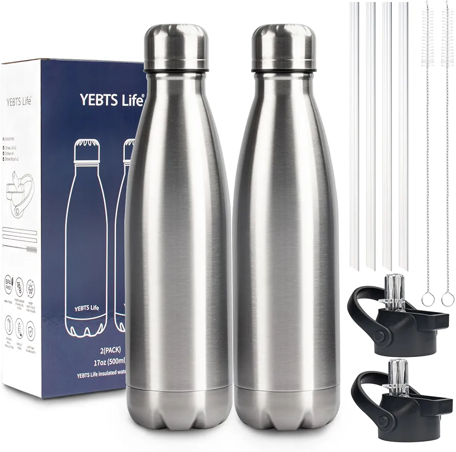 Insulated Water Bottle,2 Pack-17oz Stainless Steel Water Bottles with straw lid,Metal Sports Thermos Water Bottles for Boys,Girls,Double Wall Vacuum BPA-Free Flask for School, Sports & Travel-Silver